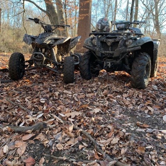 Meet your Posher, Joey - Picture 1 of 1